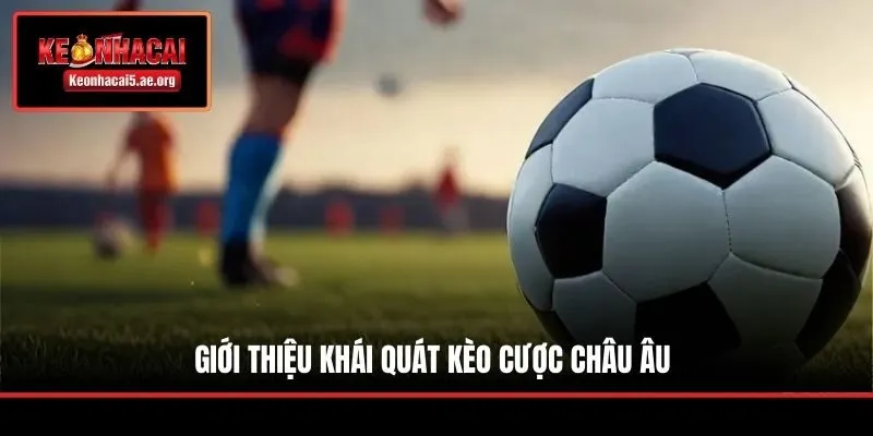 Giới thiệu khái quát kèo cược Châu Âu