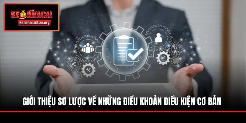 Giới thiệu sơ lược về những điều khoản điều kiện cơ bản