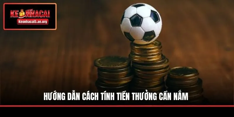 Hướng dẫn cách tính tiền thưởng cần nắm