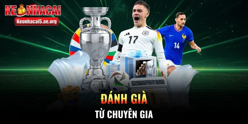 Đánh già từ chuyên gia