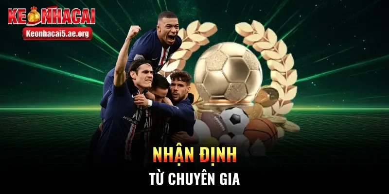 Nhận định từ chuyên gia